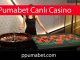 Pumabet canlı casino alanında çığır açmıştır.