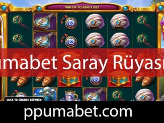 Pumabet saray rüyası slotuyla eğlendiren platformdur.